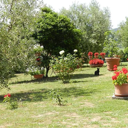 Severini Fonteblanda