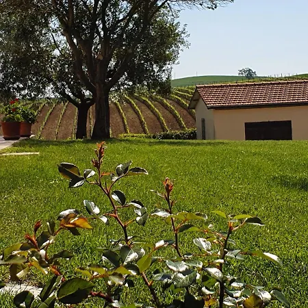 Severini Apartment Fonteblanda