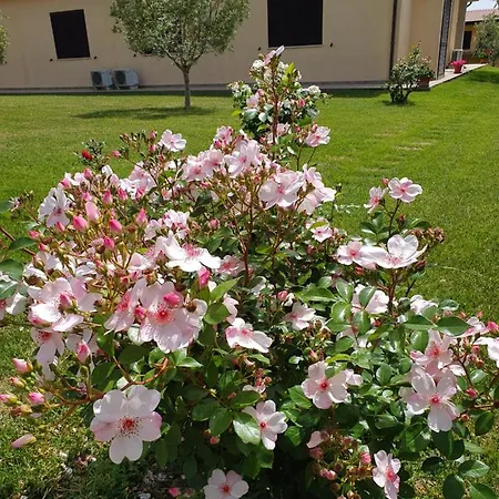 Severini 方特布兰达