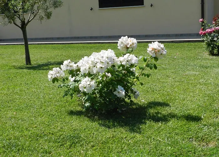 Severini フォンテブランダ