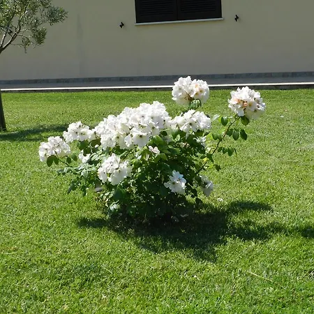 Severini Fonteblanda